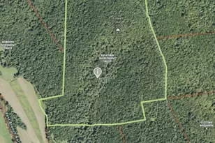 66 Reils Lane, Colrain, MA 01340 - Photo 37