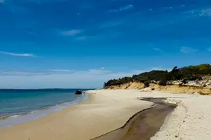 53 Stoney Hill Rd, West Tisbury, MA 02575 - Photo 41