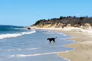 53 Stoney Hill Rd, West Tisbury, MA 02575 - Photo 41