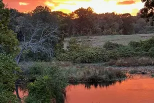 52 Willow St, Dover, MA 02030 - Photo 41