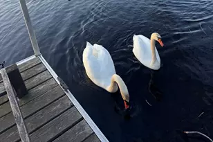 85 Crescent St, Waltham, MA 02453 - Photo 33