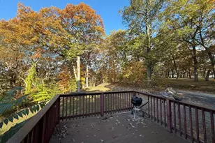 11 Danforth Park Rd, Framingham, MA 01701 - Photo 15