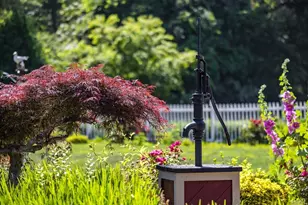 99 Route 130, Sandwich, MA 02644 - Photo 29