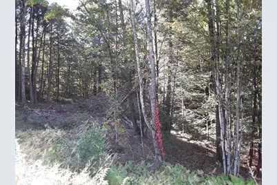 296 Northwest Road, Westhampton, MA 01027 - Photo 9