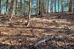 296 NW Rd, Westhampton, MA 01027 - Photo 1