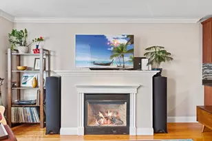 7 Fox St, Boston, MA 02122 - Photo 3