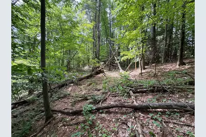 0 North Street, Whately, MA 01093 - Photo 7