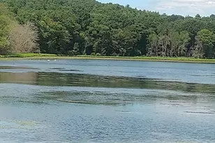 17 Lisa Dr, Taunton, MA 02780 - Photo 19