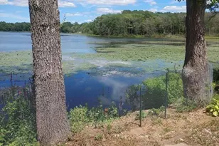 17 Lisa Dr, Taunton, MA 02780 - Photo 5