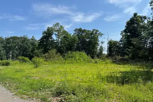 91 Snow St, Hanson, MA 02341 - Photo 1