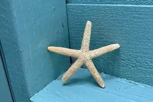 262 Old Wharf Rd, Dennis, MA 02639 - Photo 31