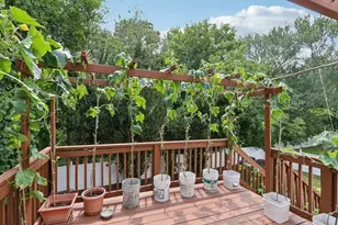 469 North St, Randolph, MA 02368 - Photo 35