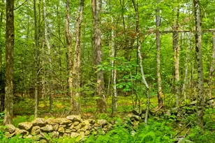 95 W Hill Rd, Middlefield, MA 01243 - Photo 25