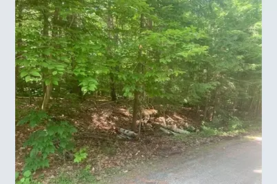 0 Lion Hill Rd, Otis, MA 01253 - Photo 13