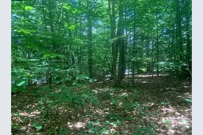 0 Lion Hill Rd, Otis, MA 01253 - Photo 11