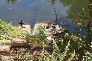 2653 Providence Rd, Northbridge, MA 01534 - Photo 3