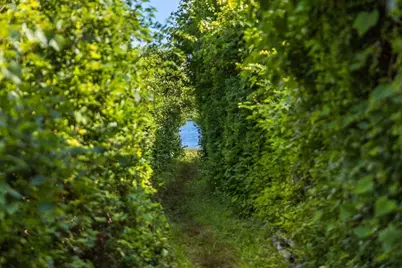 55 Christopher Harding Ln, Chatham, MA 02633 - Photo 37