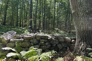 0 Nichewaug Rd, Petersham, MA 01366 - Photo 1