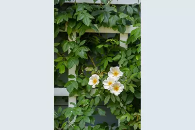 8 Angle Street #C, Gloucester, MA 01930 - Photo 15