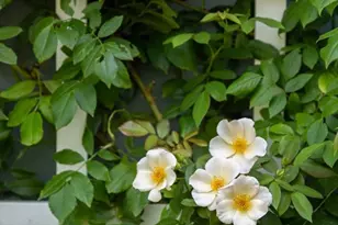 8 Angle St, Gloucester, MA 01930 - Photo 15