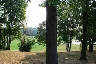 23 Wellington St, Arlington, MA 02476 - Photo 9