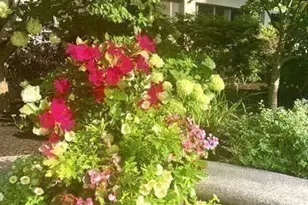 8 Whittier, Boston, MA 02114 - Photo 31