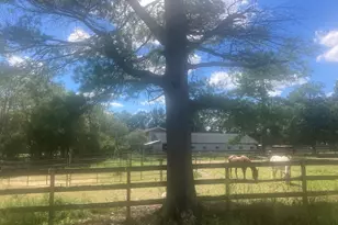 102-102A High St, Plainville, MA 02762 - Photo 17