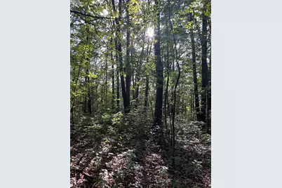 Lot 8 Southbridge Rd, Warren, MA 01083 - Photo 3