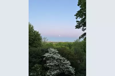 33 Wellington Lane, Belmont, MA 02478 - Photo 41