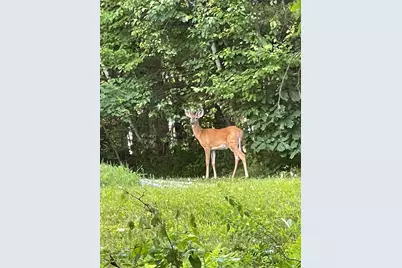 495 Winchendon Rd, Ashburnham, MA 01430 - Photo 41