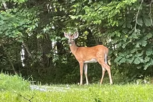 495 Winchendon Rd, Ashburnham, MA 01430 - Photo 41