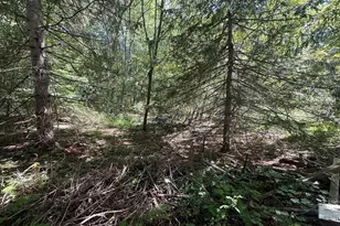 44 Federal St, Blackstone, MA 01504 - Photo 15