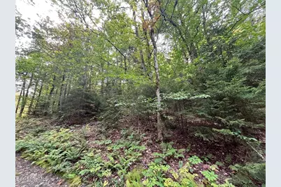 0 Manley Phelps Road, Monroe, MA 01350 - Photo 3