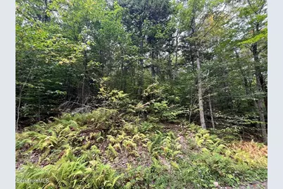 0 Manley Phelps Road, Monroe, MA 01350 - Photo 17