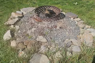 876 Autumn St, Dighton, MA 02764 - Photo 9