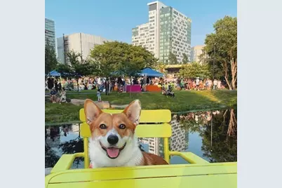 2 Earhart Street #720, Cambridge, MA 02141 - Photo 39