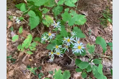 289 Monterey Road, Otis, MA 01253 - Photo 21