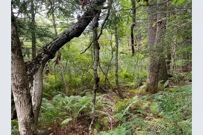 289 Monterey Road, Otis, MA 01253 - Photo 29