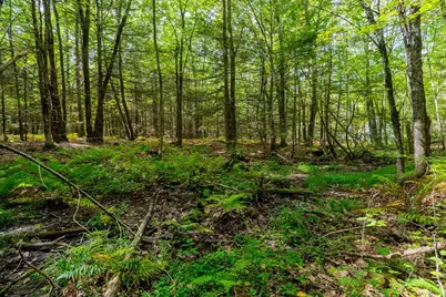 0 Riceville, Athol, MA 01331 - Photo 13