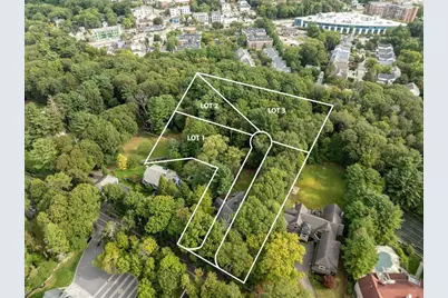 136 Dudley Rd, Newton, MA 02459 - Photo 3