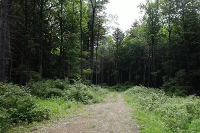 Lot 3 Yokum Pond Rd, Becket, MA 01223 - Photo 33