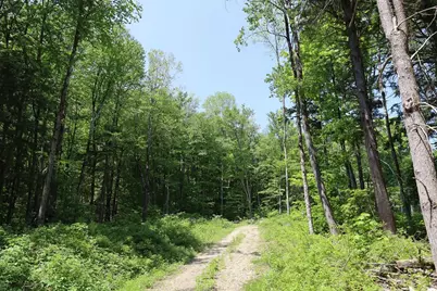Lot 3 Yokum Pond Rd, Becket, MA 01223 - Photo 5