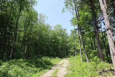 Lot 3 Yokum Pond Rd, Becket, MA 01223 - Photo 5