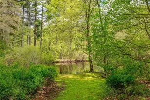 37 Cottage Cir, Dedham, MA 02026 - Photo 19