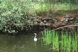 30 Little Rest Rd, Brimfield, MA 01010 - Photo 35