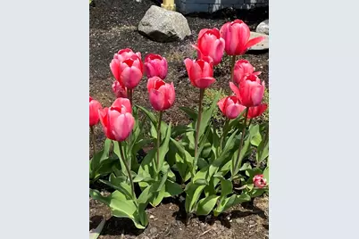 30 Chapel Street #B, Gloucester, MA 01930 - Photo 33