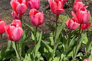 30 Chapel St, Gloucester, MA 01930 - Photo 33