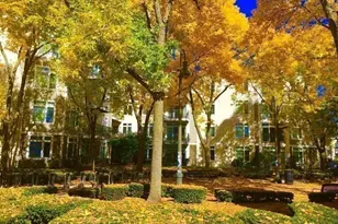 7 Cameron, Cambridge, MA 02140 - Photo 9