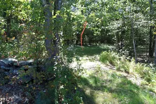 0 Stage Rd, Chesterfield, MA 01012 - Photo 1