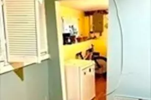 514 A Metropolitan Ave, Boston, MA 02136 - Photo 17